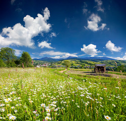Wall Mural - Beautiful summer landscape in the mountains village with a field