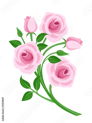 Plakat na zamówienie Pink roses, buds and leaves. Vector illustration.