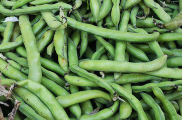 Wall Mural - close up of green beans