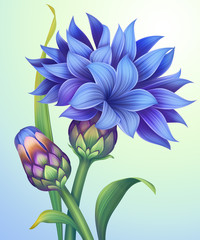 illustration of cornflower with green leaves isolated