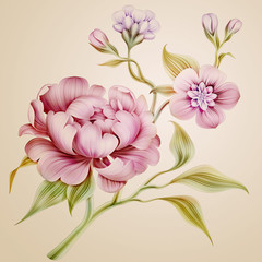 vintage peony spring flowers and leaves isolated