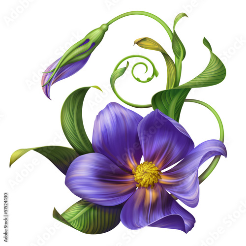Tapeta ścienna na wymiar illustration of blue flower with green leaves isolated