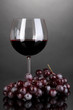 © Africa Studio - Red wine glass on grey background