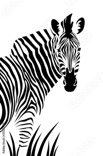 Naklejka - mata magnetyczna na lodówkę Zebra