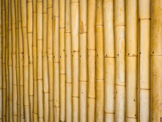  Bamboo wall background