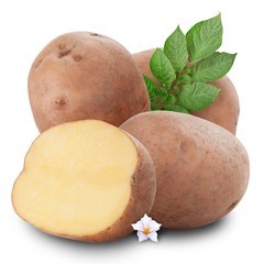 Sticker - potatoes