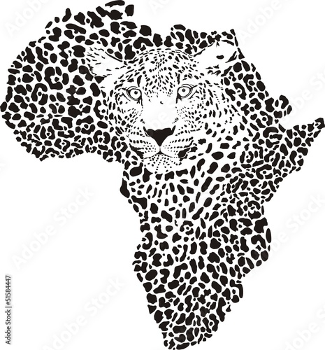 Fototapeta na wymiar Symbol Africa in leopard camouflage