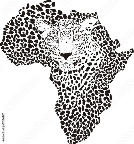 Naklejka na drzwi Symbol Africa in leopard camouflage