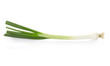 Fresh onion on white, clipping path included
