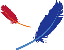 Bird Feather Illustration
