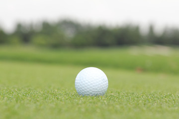 Wall Mural - golf ball on a green