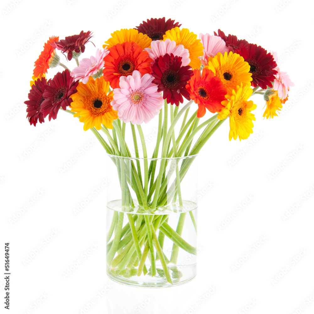 Bouquet Gerber flowers in glass vase - obrazy, fototapety, plakaty 