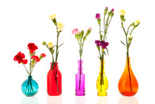 Colorful Dianthus In Little Glass Vases