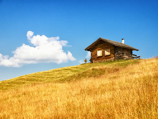 Wall Mural - log cabin