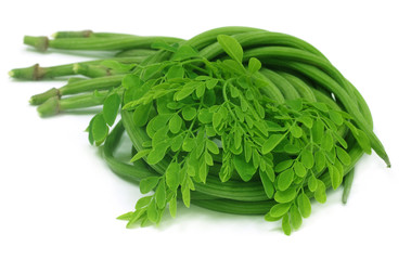 Poster - Moringa Oleifera or sonjna with fresh leaves