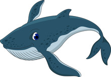 Blue Whale Cartoon