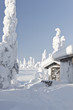 Snowy timber huts in snowy forest