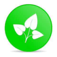 Fototapete - eco green circle web glossy icon