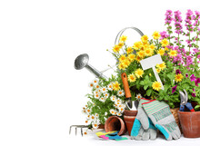 Gardening Tools And Flowers