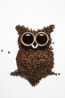 coffee core owl