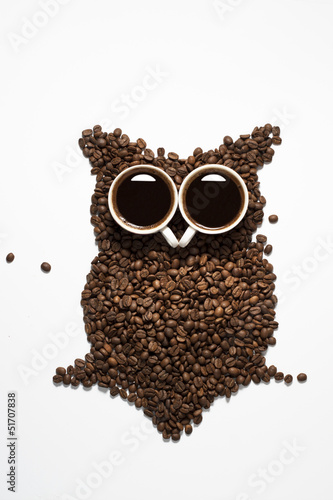 Naklejka - mata magnetyczna na lodówkę coffee core owl