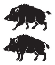 Wild Boar Free Stock Photo - Public Domain Pictures