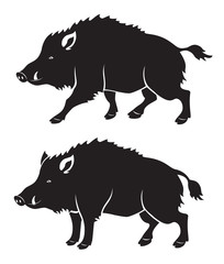 wild boar