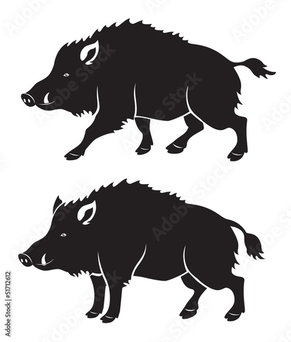 Naklejka dekoracyjna wild boar