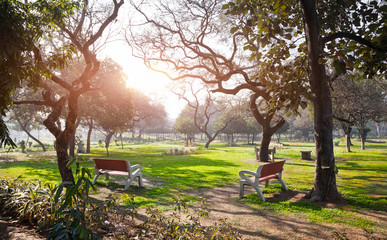 Two benches in the park