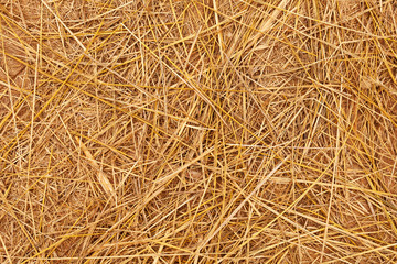 Straw Background