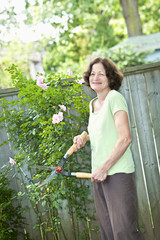 Leinwandbilder - Senior woman pruning rose bush