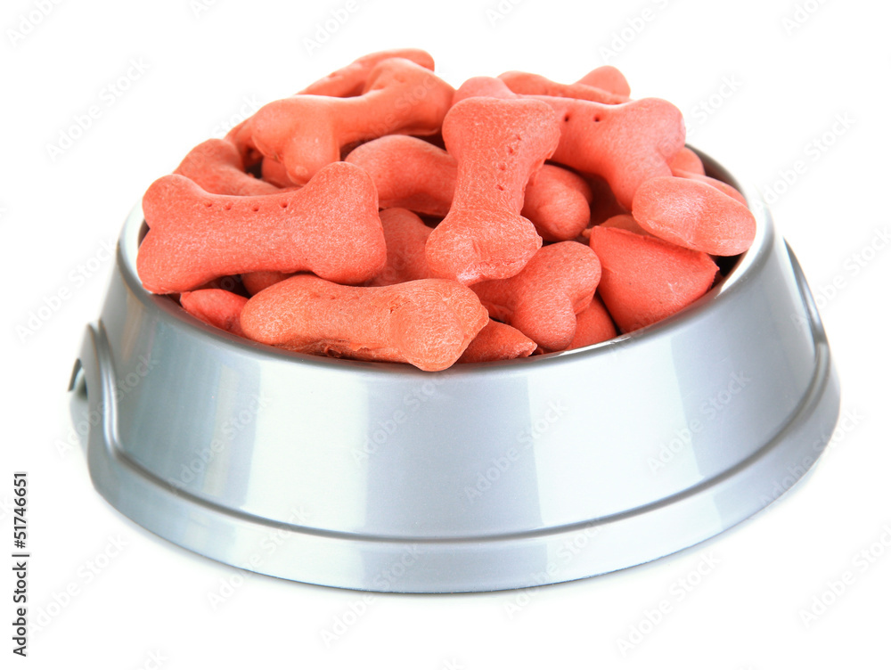 Dry dog treats in bowl isolated on white