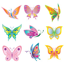Vector Set Of A Beautiful  Butterfly