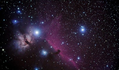 horsehead nebulae