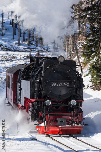 Board z aluminiowym obramowaniem Kolej wąskotorowa Harz Selketalbahn zimą