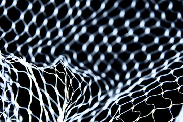 Fishing net