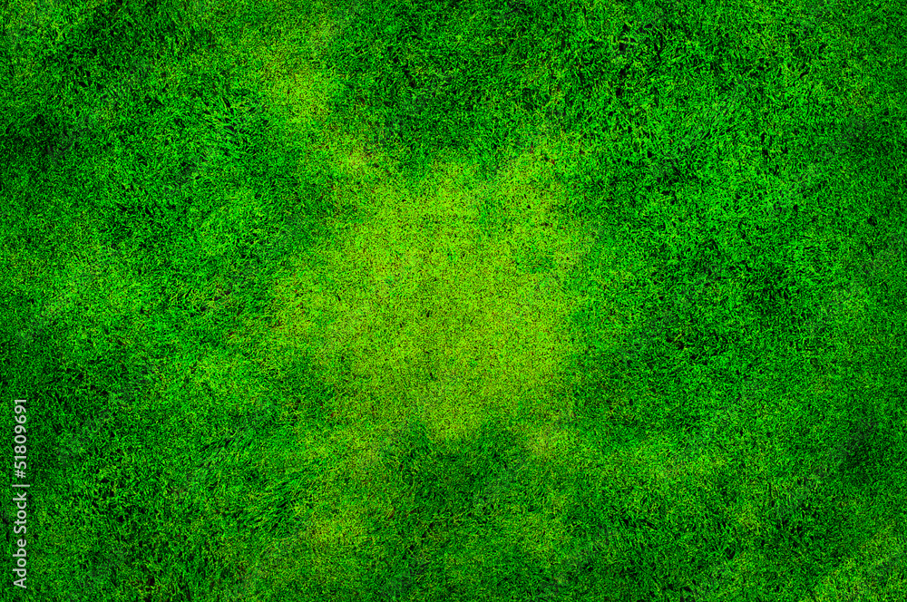 Zielona trawa - obrazy, fototapety, plakaty 