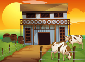 Poster - Two cows in the farm