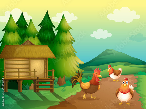 Obraz w ramie A farm with chickens and a native house