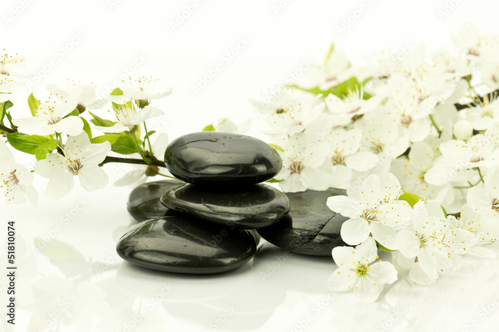 Obraz na płótnie Kwiaty dzikiej śliwy z kamieniami do spa w salonie