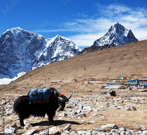 Board z aluminiowym obramowaniem Jaka w Nepalu