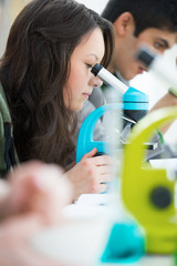 Wall Mural - high school students. young pretty girl student peering through