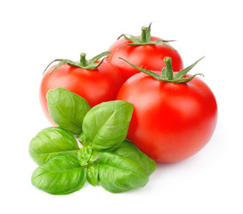 Canvas Print - Tomatoes and basil leaves