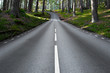 asphalt road in forest landscape