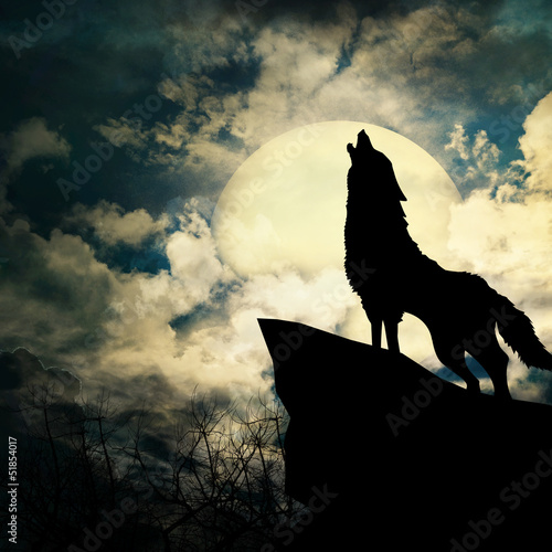 Fotografía wolf in silhouette howling to the full moon