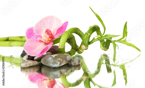 Tapeta ścienna Martwa natura z zieloną rośliną bambusową, orchideą i kamieniami,