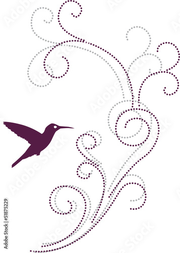 Obraz na płótnie canvas Kolibry
