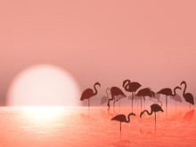 Flamingo Silhouette And Sunset