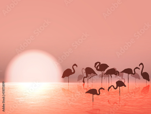 Obraz w ramie Flamingo Silhouette and Sunset