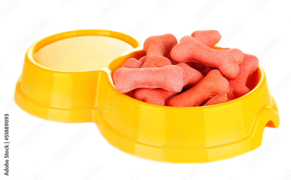 Dry dog treats in bowl isolated on white